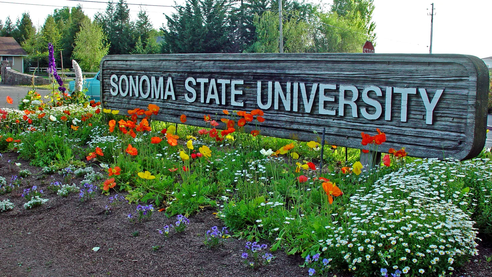 소노마 주립대학교는 격동의 삭감 이후 새로운 리더가 되었습니다