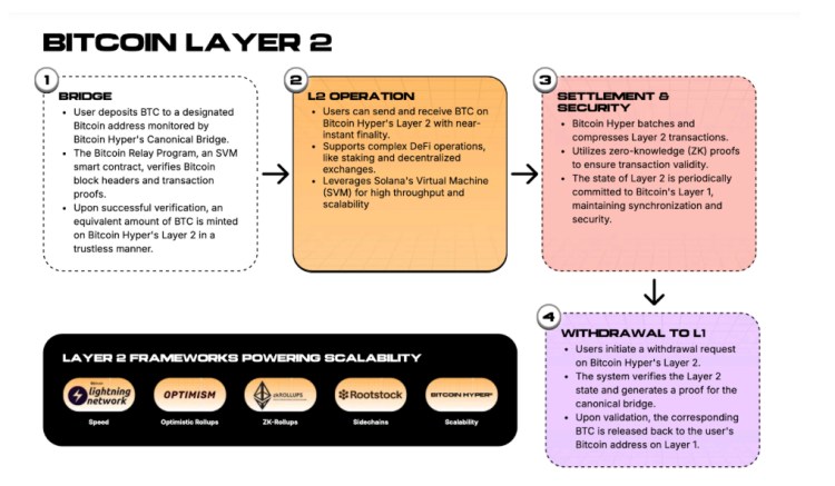 최고의 거래자가 솔라나 25% 회수 및 순환 위험을 고려하여 최고의 암호화폐 사전 판매를 구매