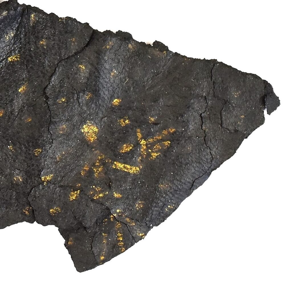 체코 타운의 중세 과거 공개