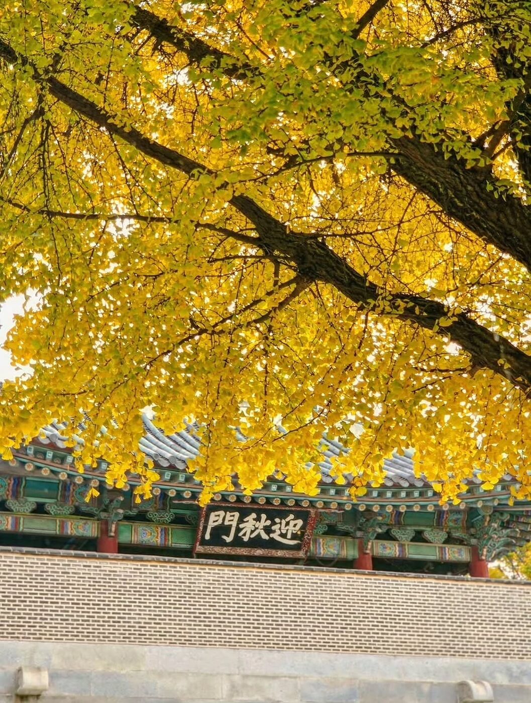 서촌부터 북한산까지, 찐 막차 서울 단풍 명소 카페 추천 8