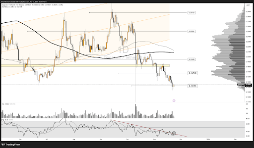 Dogecoin은 모멘텀 정체 및 거래량 감소에도 불구하고 몇 주 만에 첫 번째 반전 신호를 깜박입니다