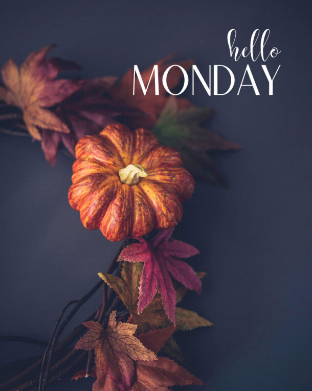 메이크업 및 뷰티 블로그 Monday Poll, Vol. 897