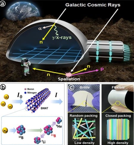 세제 성분이 나노튜브의 잠재력을 여는 방법