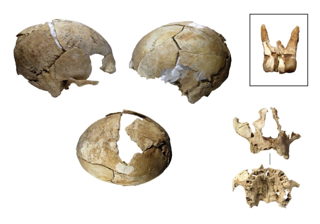 스페인 켈트 요새에서 목이 잘린 머리가 발견됨