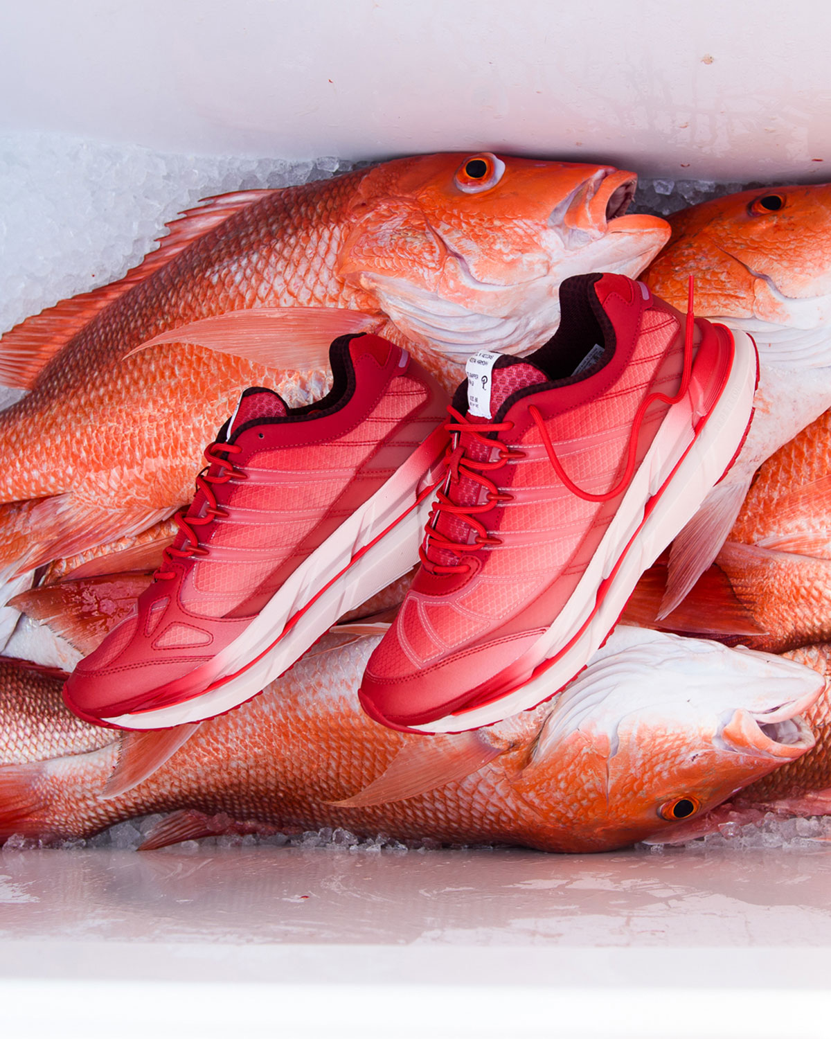 스니커 폴리틱스(Sneaker Politics), 아디다스 Adistar Harmony로 걸프 지역의 Red Snapper에 고개를 끄덕임