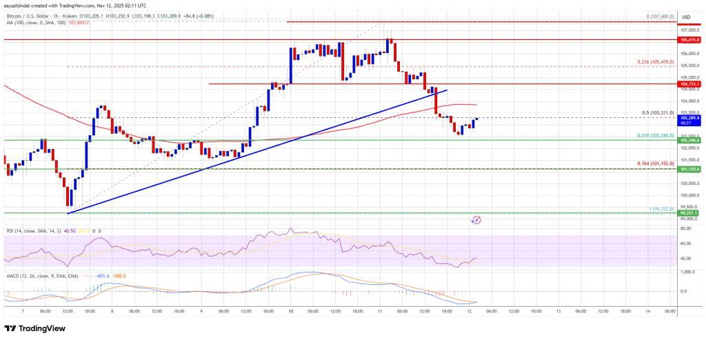 비트코인 회복이 주춤함 - 약한 거래량 신호로 구매자의 고갈 가능성