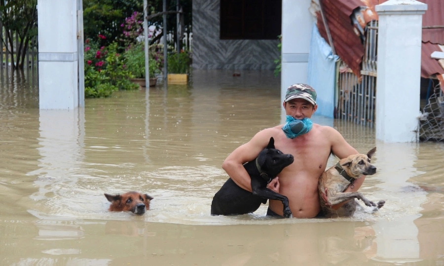 베트남 자연재해의 해: 409명 사망 또는 실종, 32억 달러 이상의 손실