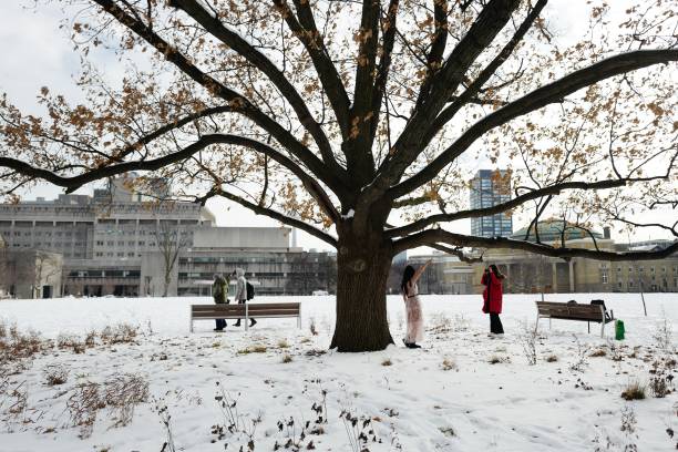 캐나다는 여전히 Big 4 해외 학생 모집 기관 중 하나인가요?