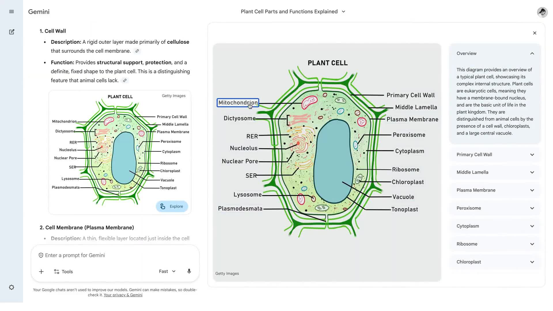 Gemini의 대화형 이미지를 통해 더 깊은 이해를 키워보세요.