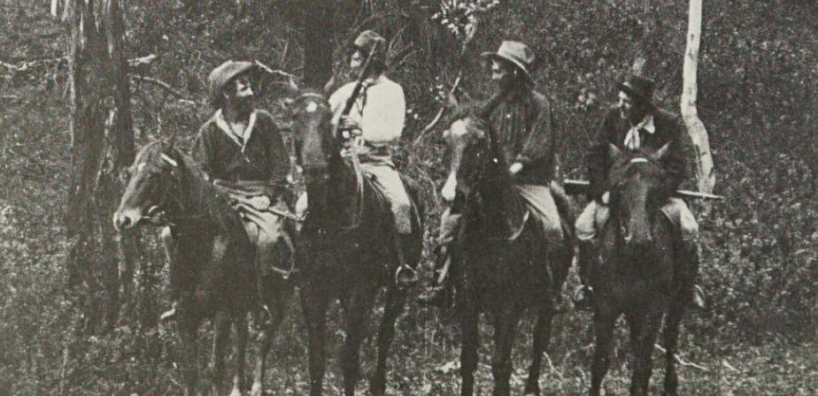 동짓달 기나긴 밤을 한 허리 베어낼 장단편 영화 5