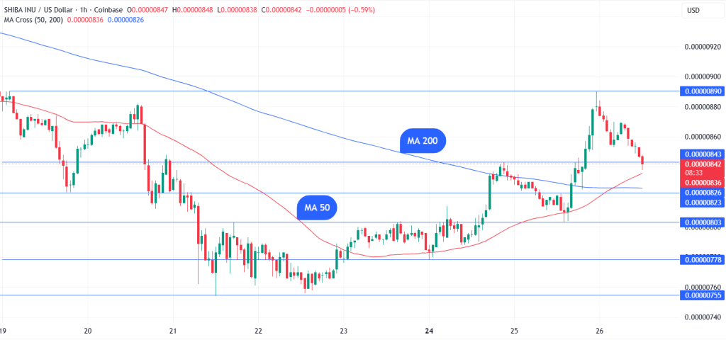 시바견 가격 예측: 희귀한 골든 크로스가 방금 번쩍였습니다 – 이것이 대규모 Ra의 시작일 수 있습니까