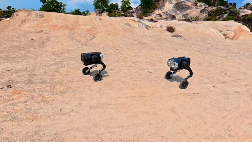 전지형 모듈형 개 모양의 로봇은 몸을 둘로 쪼개었다가 다시 결합할 수 있습니다