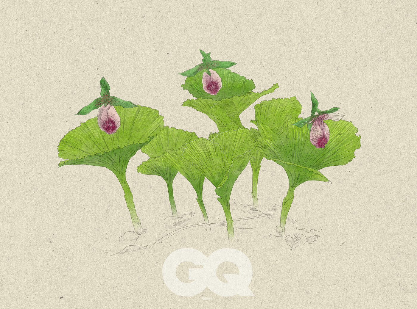 사라지는 생명들의 유일한 안식처, 10종의 멸종위기 야생생물들