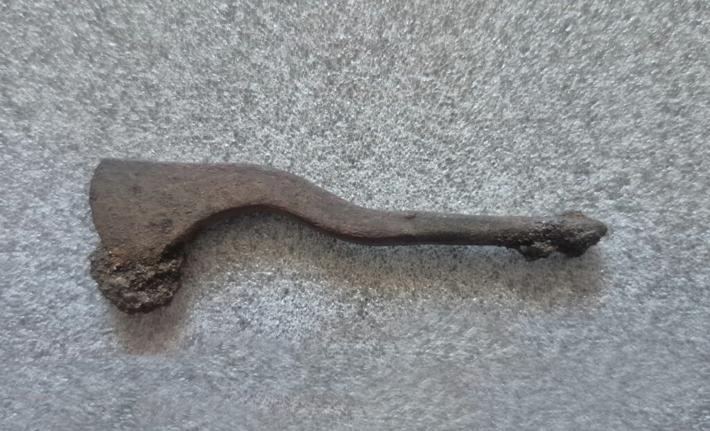 폴란드에서 가능한 Trepanation 도구가 발굴됨