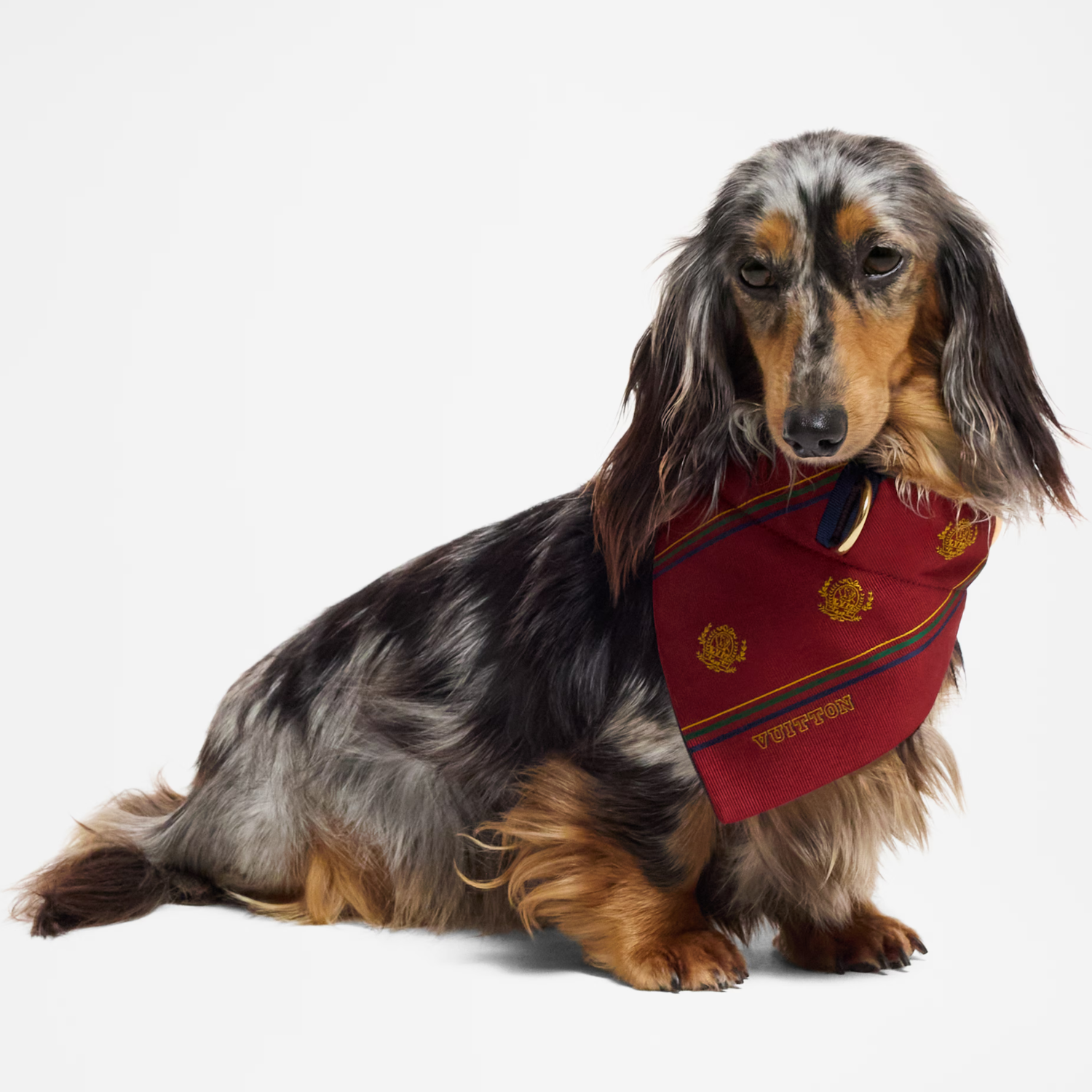 애완동물 애호가와 털복숭이 친구들을 위한 최고의 선물