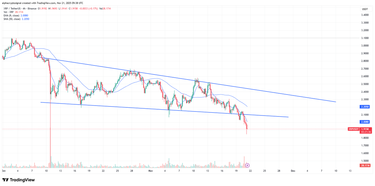 Ripple의 XRP 고장 경고: 황소에게 더 많은 고통이 닥칠까요?