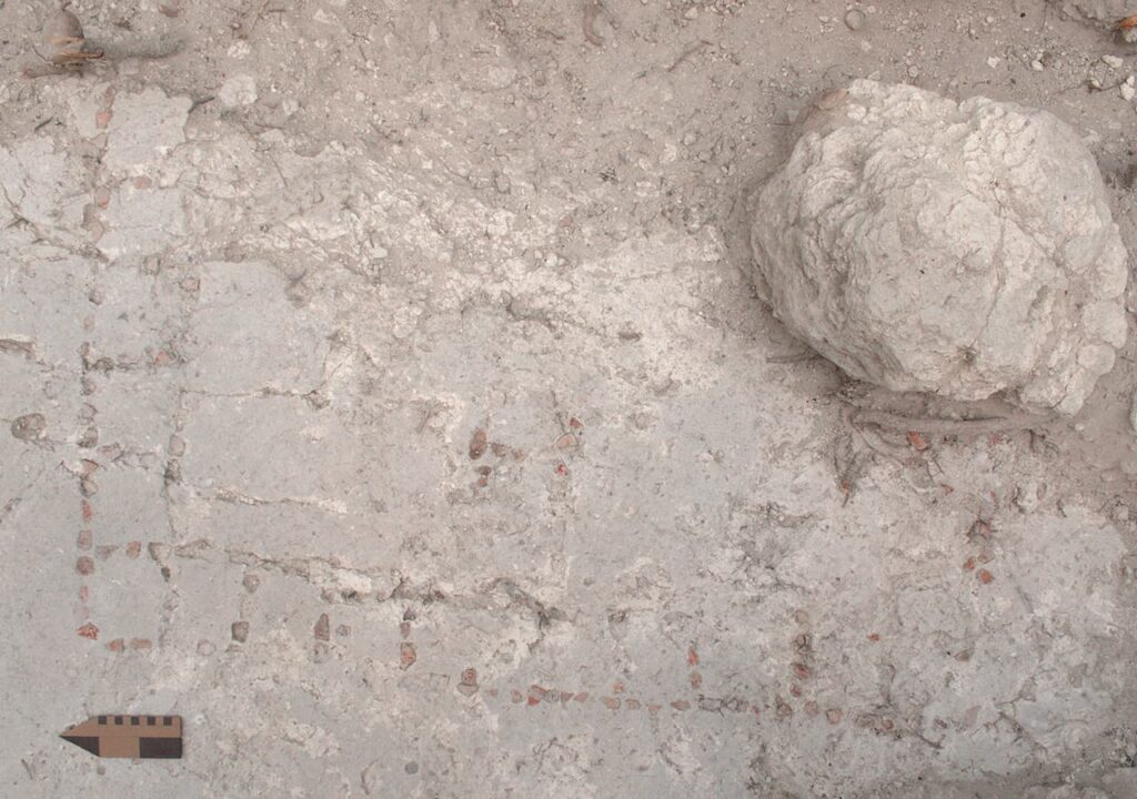 Naachtun의 마야 사이트에서 발견된 모자이크 게임 보드